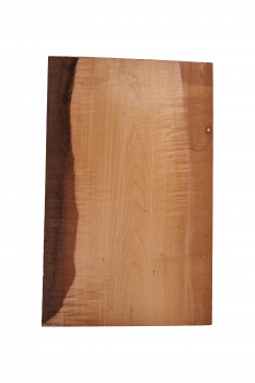 Preview: Body Ahorn leicht geriegelt A, 1-tlg., Caramel, Einzelstück #042